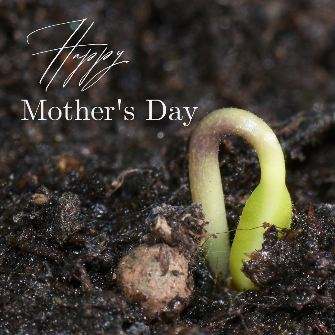 Happy Mother's Day to our Mother Earth To all of the mothers out there, SAMO Fund wishes a happy and healthy Mother's Day #MothersDay #MotherEarth #EnvironmentLove #EarthDayEveryDay #SantaMonicaMountains #SAMOFund