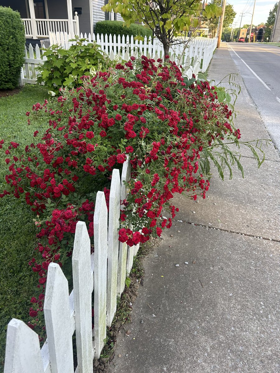 Happy Mother’s Day to all of our Brentwood Middle moms! You are a blessing to your children and to our school!