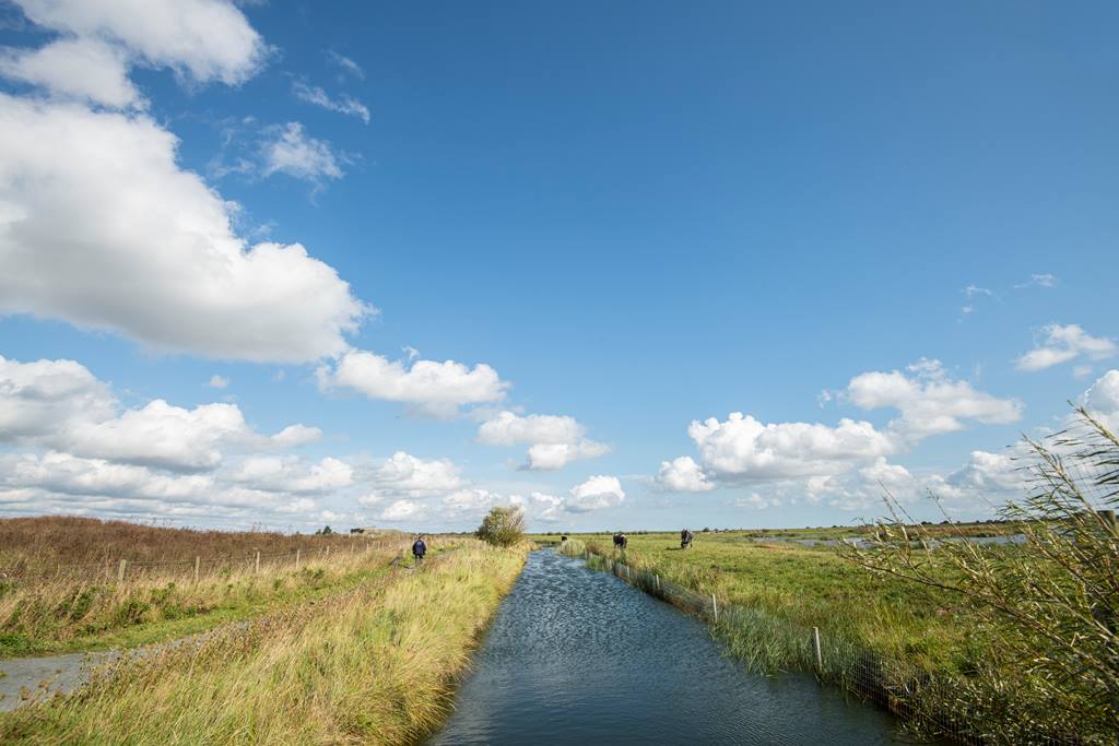 We are sharing more information about the different trails you can take this #NationalWalkingMonth around the reserves over on our Facebook page. Which will you discover? Ben Andrews (RSPB images)