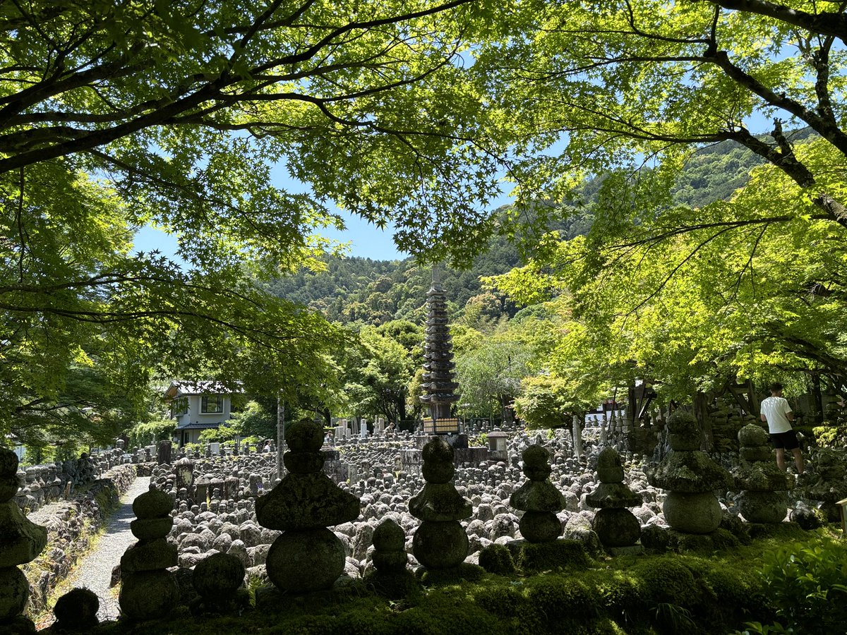 あだし野念仏寺
青もみじが綺麗でした。
2024.05.11