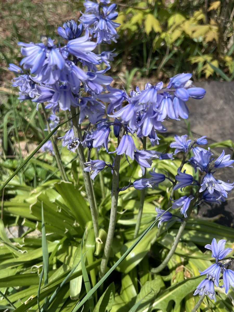 I have the good fortune to know some women who are amazing moms and mother figures. Who love with their whole hearts and live the strength, kindness, and empathy they try to instill. May each of you feel appreciated and celebrated well beyond today. Happy Mother’s Day.