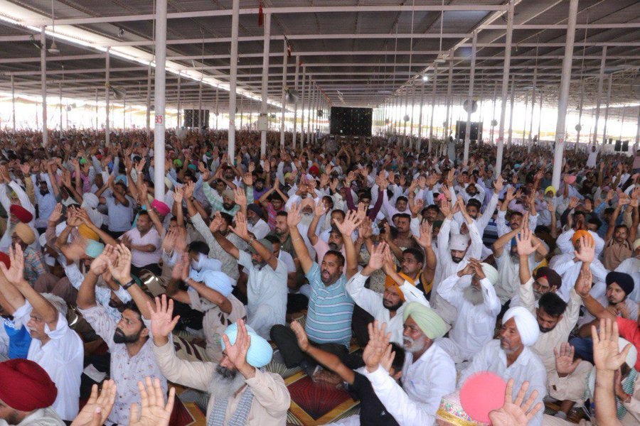 Thousands of people raised their hands and sacrificed all evil in today's #SatsangBhandaraSalabatpura. Following the inspiration of their Guru Ram Rahim Ji, the devotees of #DeraSachaSauda pledged to work for the welfare of humanity.