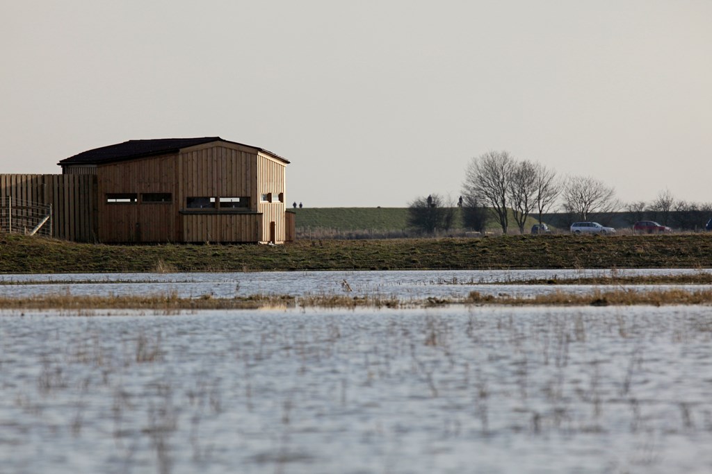 The East Hide can be accessed from our Wash Trail. We also have two other hides on our Frampton Site. So lots of opportunities to spot something exciting👀 #NationalWalkingMonth Andy Hay (RSPB Images)