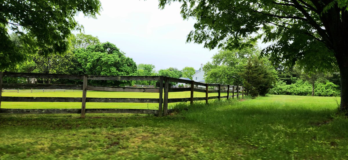 Former site of Ruff Acres thoroughbred farm, Colts Neck, NJ, owned by my great uncles Joseph and Arthur Ruffalo. The farm was a leading producer of New Jersey racehorses for two decades.🐎
