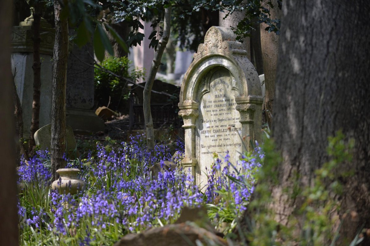 @AMAZlNGNATURE “Highgate Cemetery has some of the finest funerary architecture in the country. It is a place of peace and contemplation where a romantic profusion of trees, memorials, and wildlife flourish.”