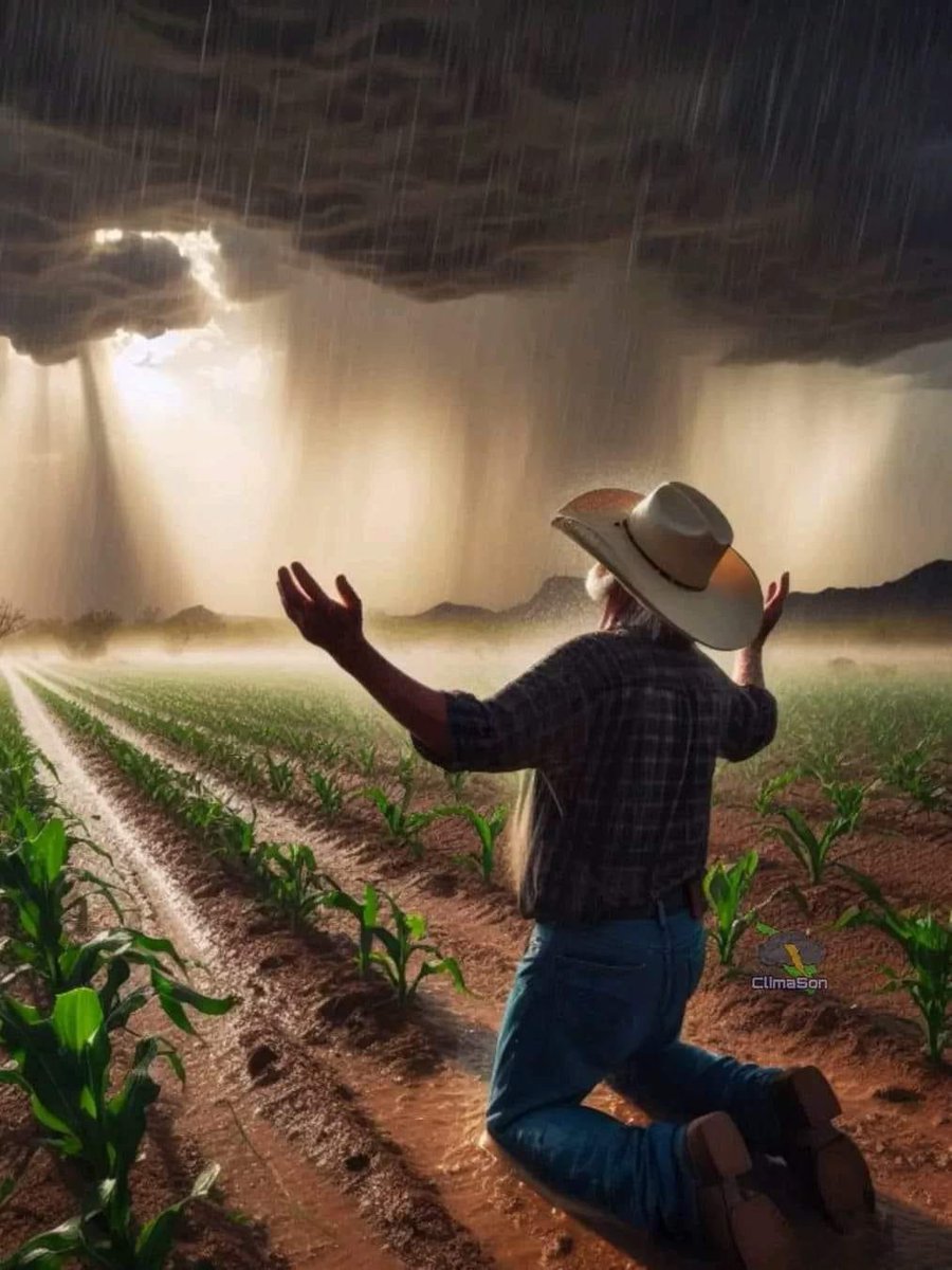 San Isidro labrador trae la lluvia y quita el sol.
Tú que eres santo, riega nuestros campos…💦💦💦