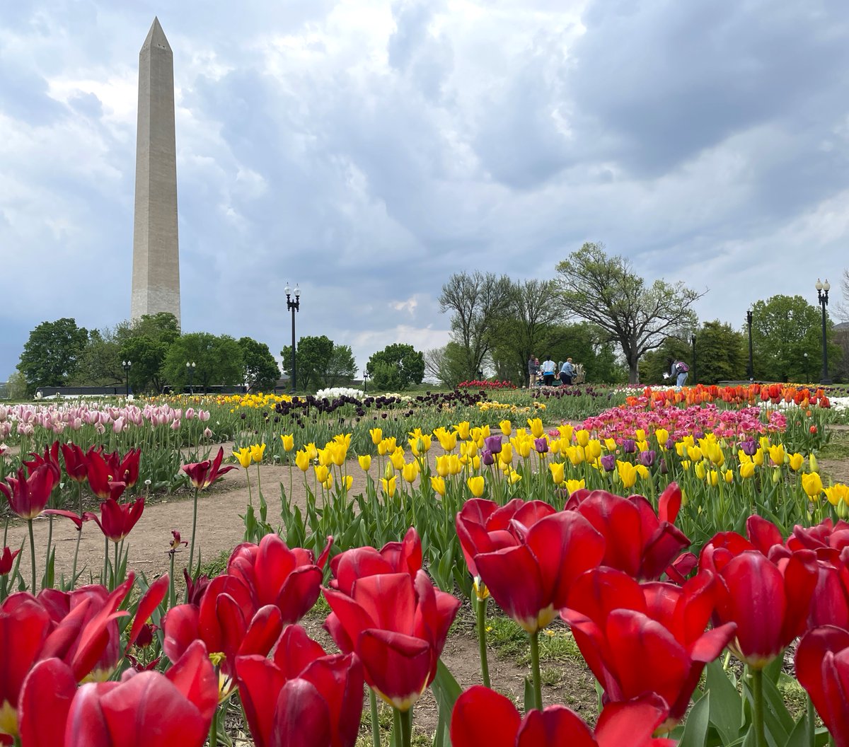 Happy Mothers Day from all of us on the National Mall to all the mothers who have loved, led, sacrificed, educated & inspired generations!