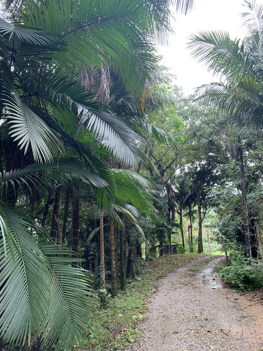 Embora o sofrimento seja muito grande, talvez o momento seja de repensar … quem sabe um experimento social deva ser tentado nas áreas devastadas: a reconstrução baseada em cooperativas onde a cooperação pudesse fazer frente às crises climáticas <a href="/JanjaLula/">Janja Lula Silva</a> …