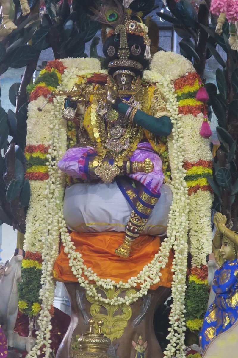 Sri Parthasarathy Perumal in Sri Murali Kannan Thirukkolam Brahmotsavam
