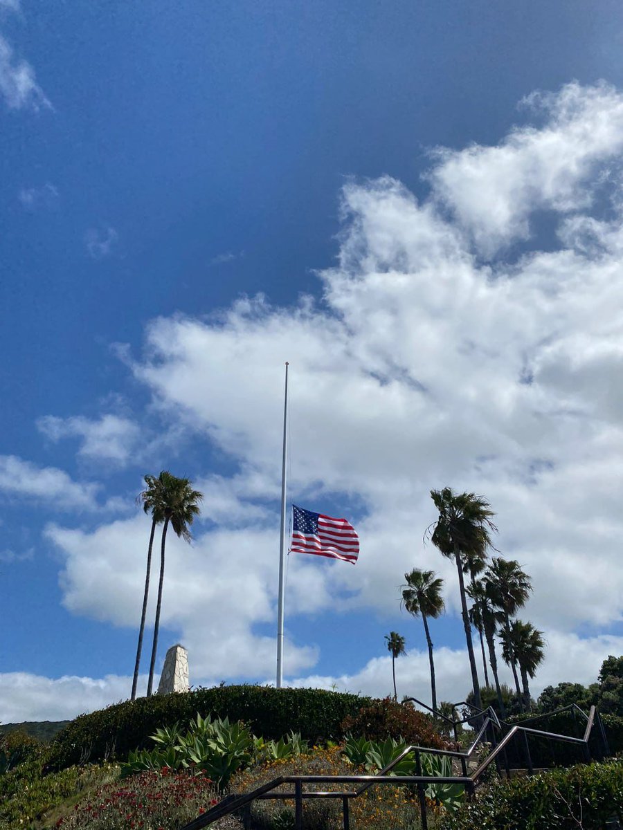 Robo734's tweet image. Good morning all my Friend in Twitter ( Waking up to see beautiful flowers, I shared with you all to see.) 🌞🌻🌹🌹🌷🌷