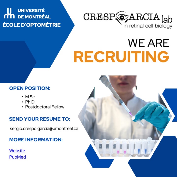 Dear network, our lab at the @umontreal is searching for motivated graduate students and postdocs. Please share, and you can email or DM me for more info! 😁#Recruiting #Hiring #RecruitingGraduateStudents #RecruitingPostDocs #RetinaCellBiology #VascularBiology #Neuroscience