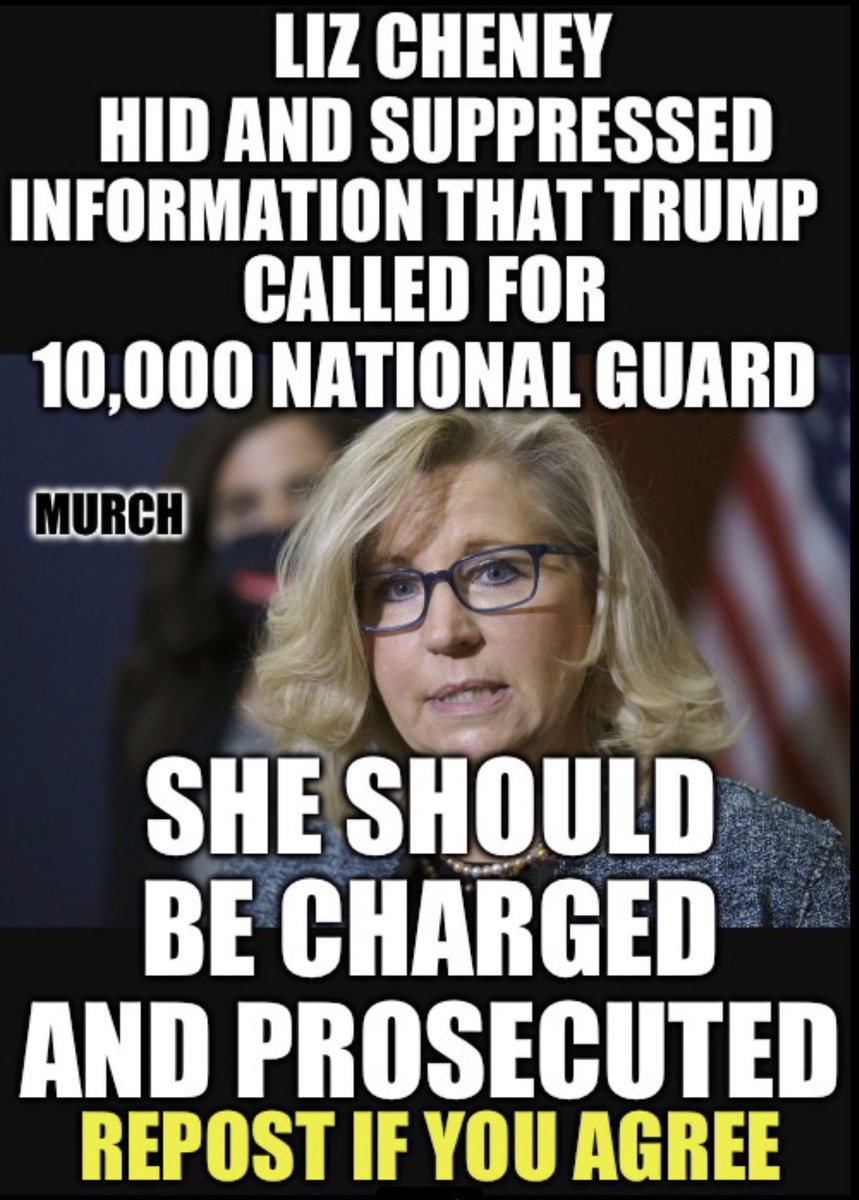 The people of Wyoming told Liz Cheney to get lost. She’s a nobody now. But she needs to stand trial for her criminal activity as well as Jamie Raskin & the other J6 committee members. She deserves to be behind bars for what she has done to the J6’ers. Who feels the same?🙋‍♂️