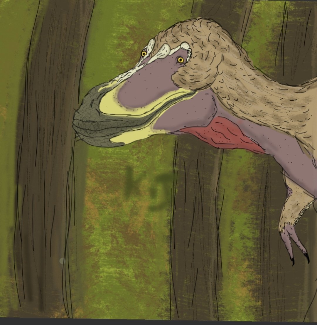 klamjames0779's tweet photo. Dryptosaurus drawing about an hour total 💪( ͡° ͜ʖ ͡°) #Dryptosaurus https://t.co/JSBRtTQJq5