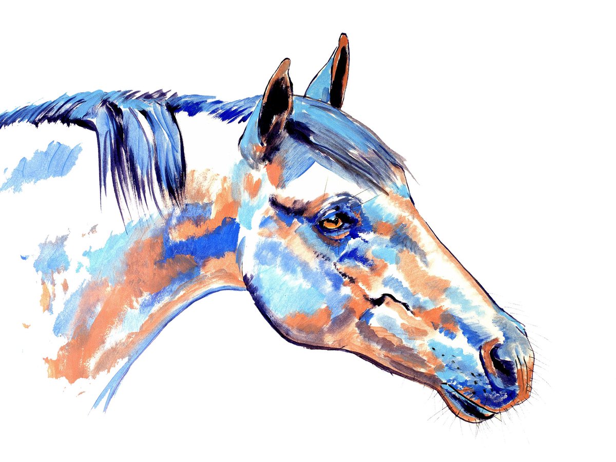 Pretty In Pink” 18 x 24 inch ink and acrylic on paper. Available on my  website. #ink #inked #drawing #drawings #painting #paintings #horses  #equestrian #horseart #equineart #horse #equine #art #artist #artists # artwork #, image size:1200x900