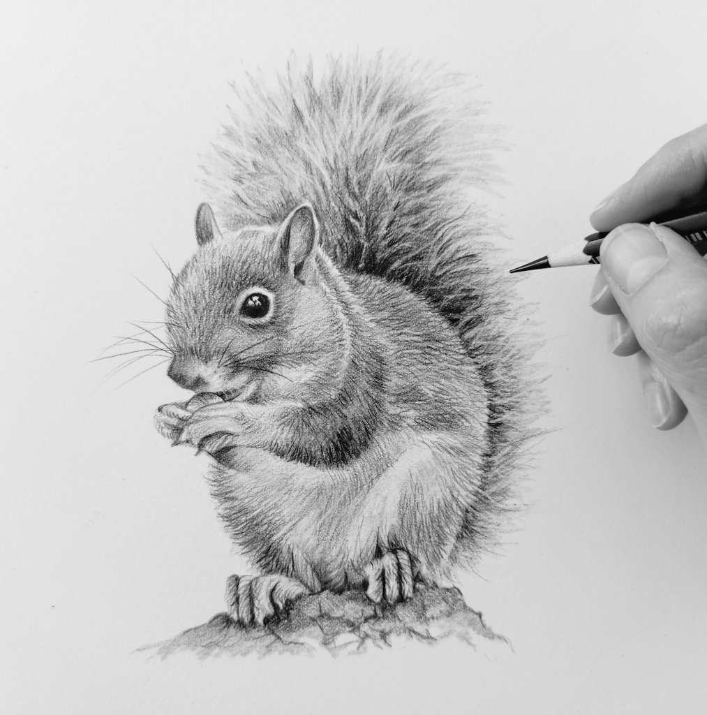 Spent my Sunday morning drawing a little squirrel. 🐿
Size 8x8' graphite pencil.