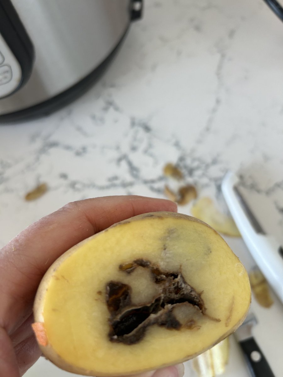 It seems the food we are buying from big grocers is not only more expensive, but also more inedible. Every time I bring home groceries something in the cart is either full of mold or rot. #loblaws #sobeys