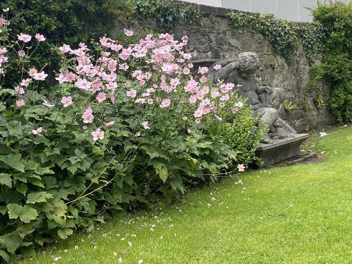 For Biodiversity Week, we have a FREE specialised biodiversity tour of our Formal Gardens on the 22nd and 26th of May at 1pm. Tickets found on Eventbrite. For more information email rhktours@opw.ie eventbrite.com/e/biodiversity….. #heritage #biodiversity @opwireland @HeritageIreOPW