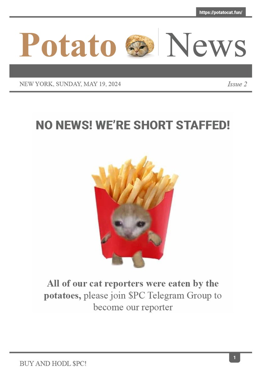Who wants to be one of our reporters now? 😿🥔 #potatocat #solana #memecoins