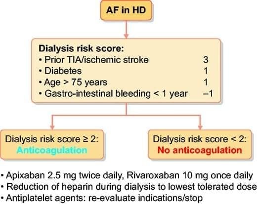 🔴Anticoagulation management in haemodialysis patients with atrial fibrillation: evidence and opinion

academic.oup.com/ndt/article/37…
#cardiology #CardioEd

 #CardioEd #Cardiology #CardioTwitter #cardiovascular #FOAMed #MedTwitter #medtwitter #CardioTwitter #paramedic #MedX #meded
