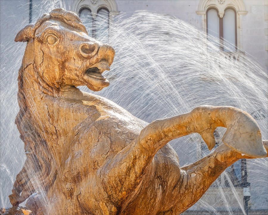 Diana Fountain Ortigia Sicily 2! buff.ly/3UCnfBB #horse #fountain #sicily #ortigia #syracuse #spray #diana #statue #travel #travelphotography#artforsale #wallartforsale #AYearForArt #BuyIntoArt #giftideas @joancarroll
