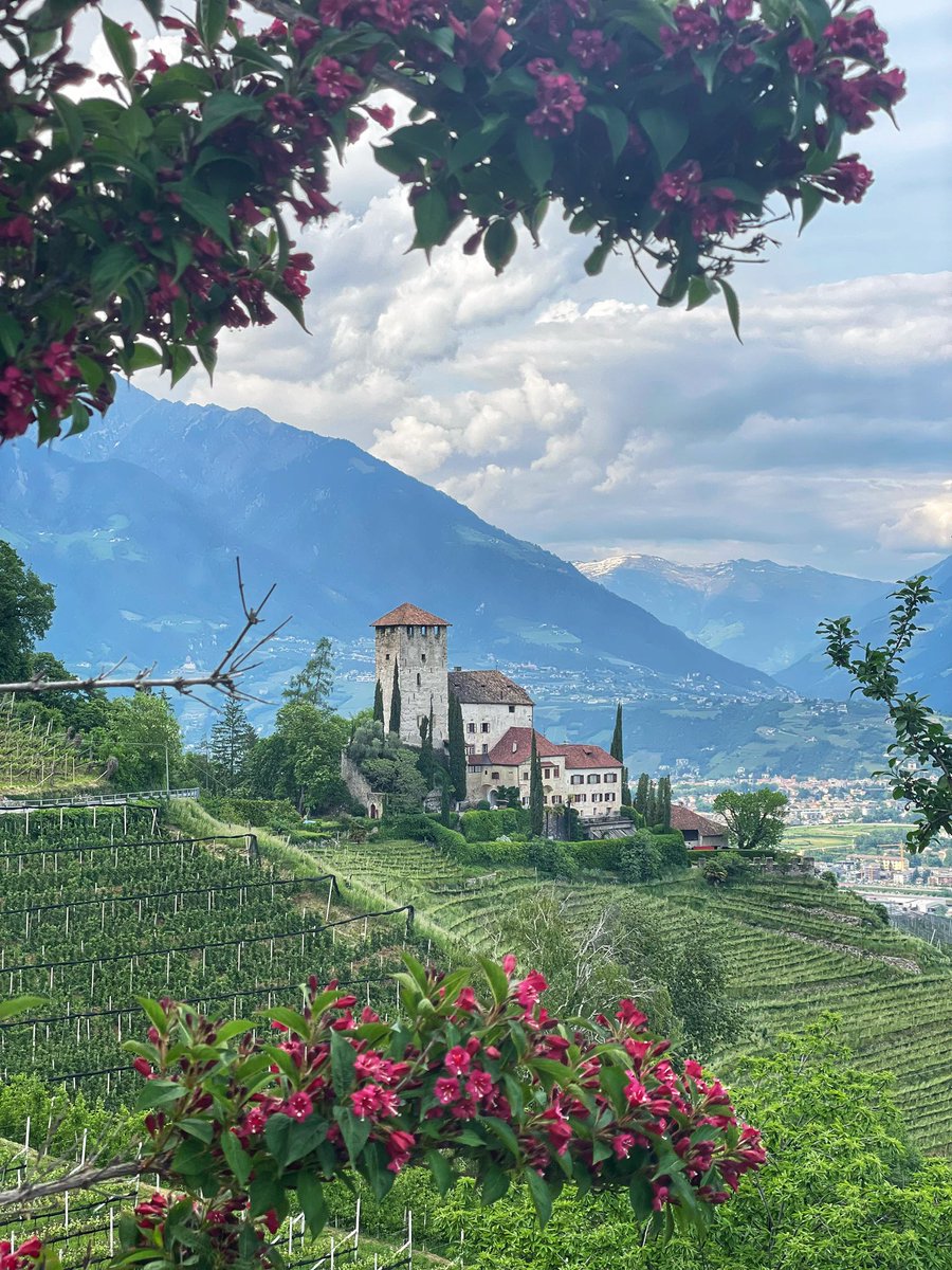 Ich denke, viele Worte sind hier nicht nötig #Südtirol ❤️