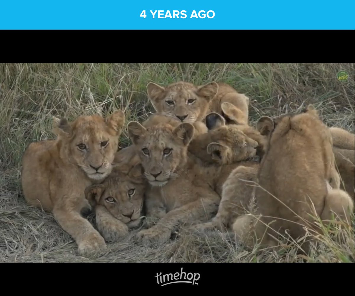 #WildEarth I miss these days….