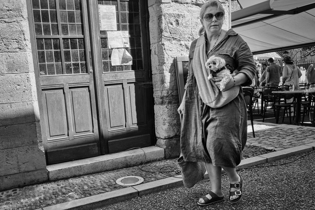 Dog transport #Martel #Lot #Occitanie #France #streetphotography #candid #streetlife #zonestreet #urbanphotography #street_vision #photoderue #dog #dogsoftwitter #doglife #doglove #pets #photographylovers #fujifilmstreet #fujifilm_xseries #fujifilmXT5 #XF18_55mm @fujifilmfrance