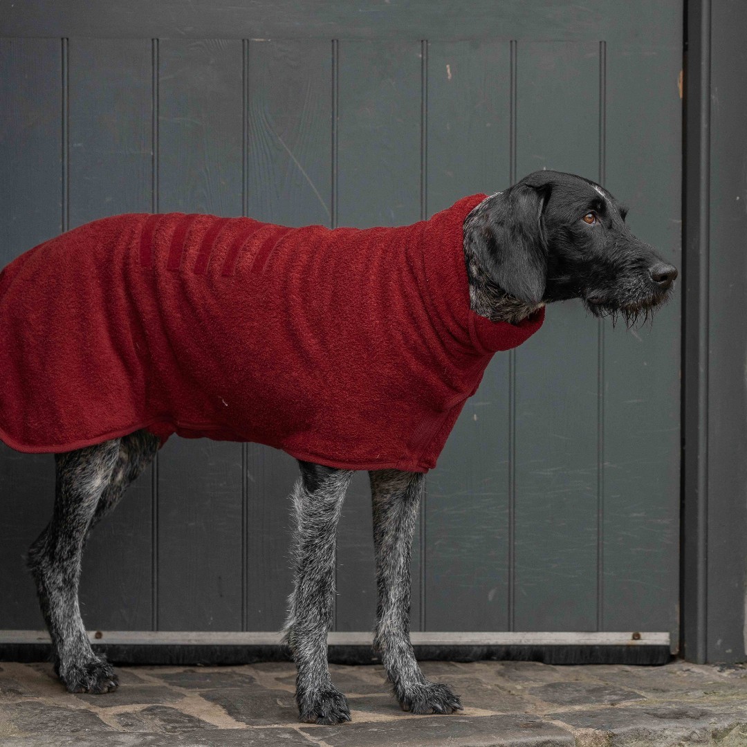 Wet dogs love the warmth and comfort of cotton towelling Drying Coats. After the wet, dry. After the cold, warm. After the mess, clean. Everyone's a winner with Drying Coats. SHOP: ow.ly/aP5w50RzgPt