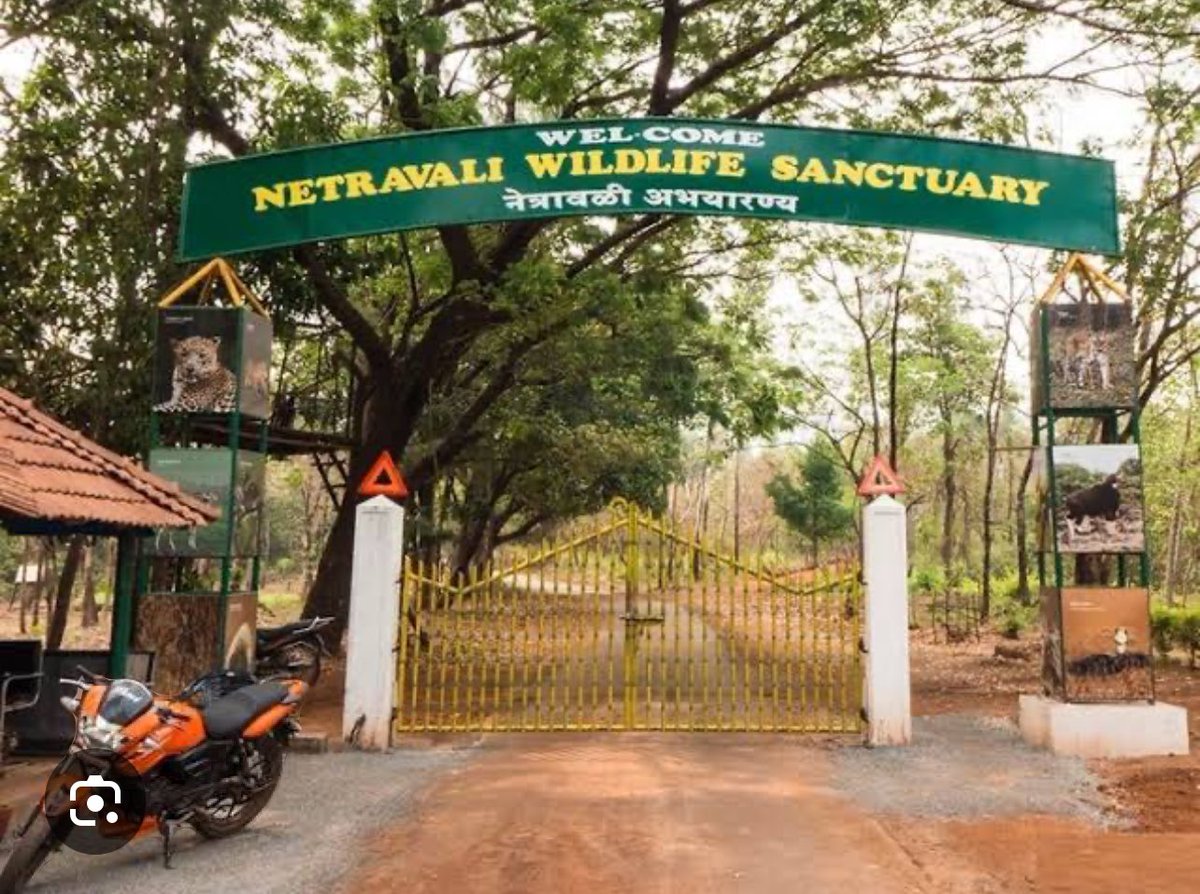 Forest department detain 16 employees of KTCL allegedly with rifles & live cartridges who had gone for hunting in the forest at Saljini Netravali.