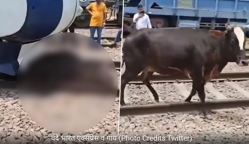 AIN NEWS 1 Vande Bharat Express: वंदे भारत एक्सप्रेस के ड्राइवर के चलते ही ट्रैक पर अचानक आई एक गाय की जान पूरी तरह से जाते-जाते बच गई. दरअसल वंदे भारत एक्सप्रेस अपने ट्रैक पर जा ही रही थी. इस बीच अचानक सामने ट्रैक पर एक गाय आ गई.
ainnews1.com/vande-bharat-e…