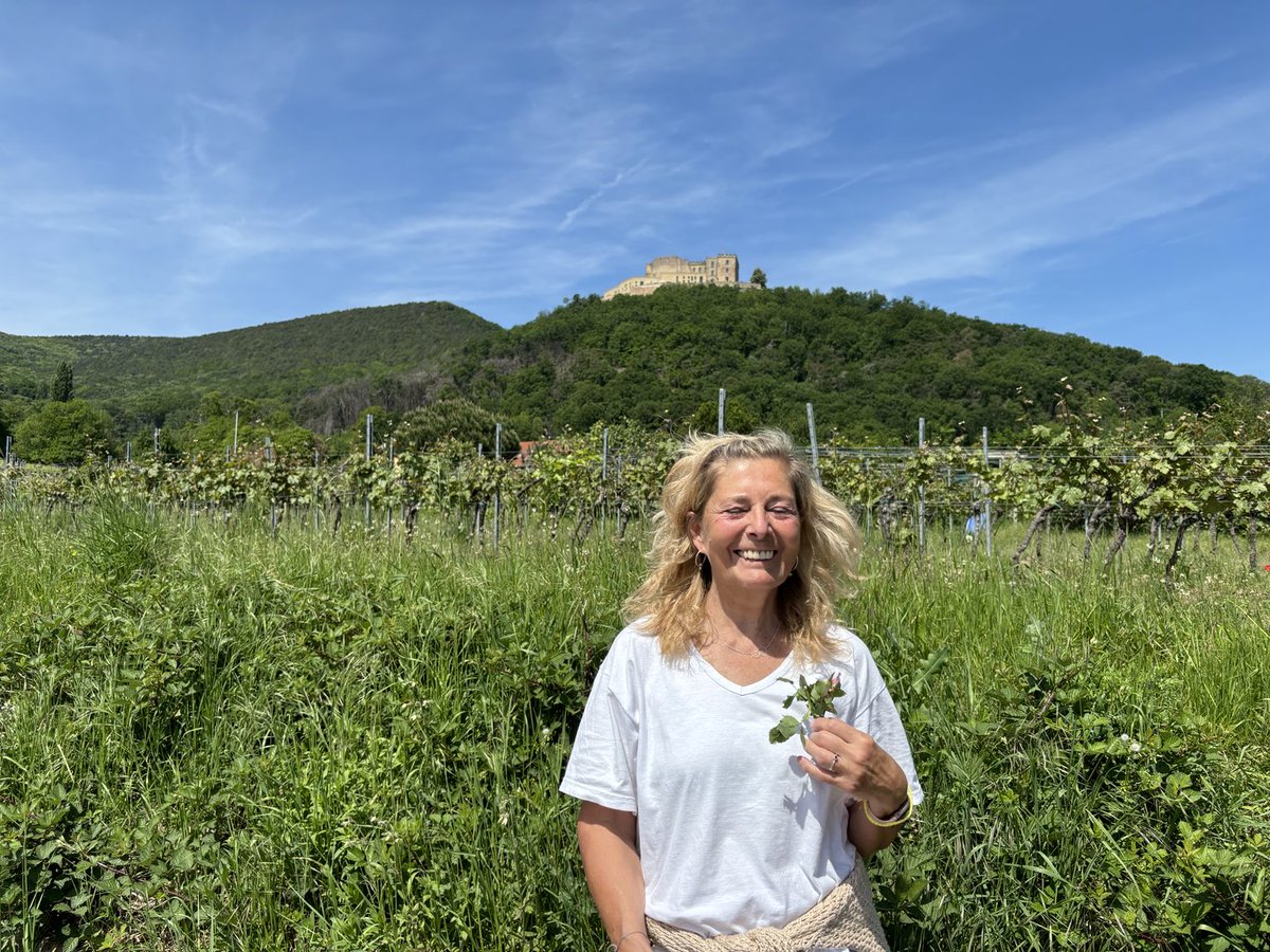 Blümle zum Muttertag und Hambacher Schloss 🌺