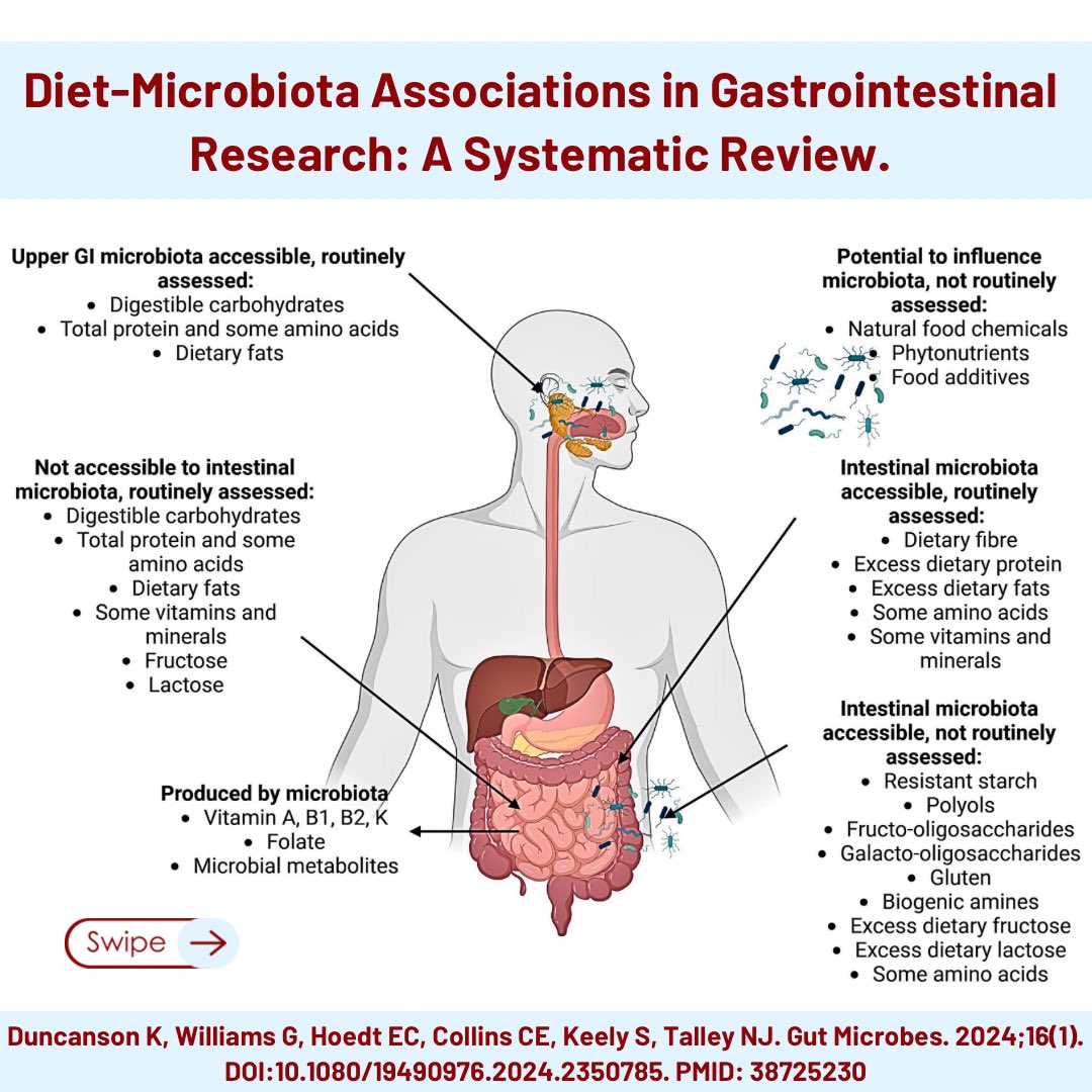 Nick Trott (@trott_nick) on Twitter photo Fascinating systematic review by <a href="/Prof_NickTalley/">Prof. Nick Talley</a> team!
Highlights need for advanced dietary assessment methods that consider microbiota-relevant data. Shifts in nutritional metabolomic assessment cld make microbiome-specific nutrition a reality?
▶️tandfonline.com/doi/full/10.10… Fascinating systematic review by <a href="/Prof_NickTalley/">Prof. Nick Talley</a> team!
Highlights need for advanced dietary assessment methods that consider microbiota-relevant data. Shifts in nutritional metabolomic assessment cld make microbiome-specific nutrition a reality?
▶️tandfonline.com/doi/full/10.10…