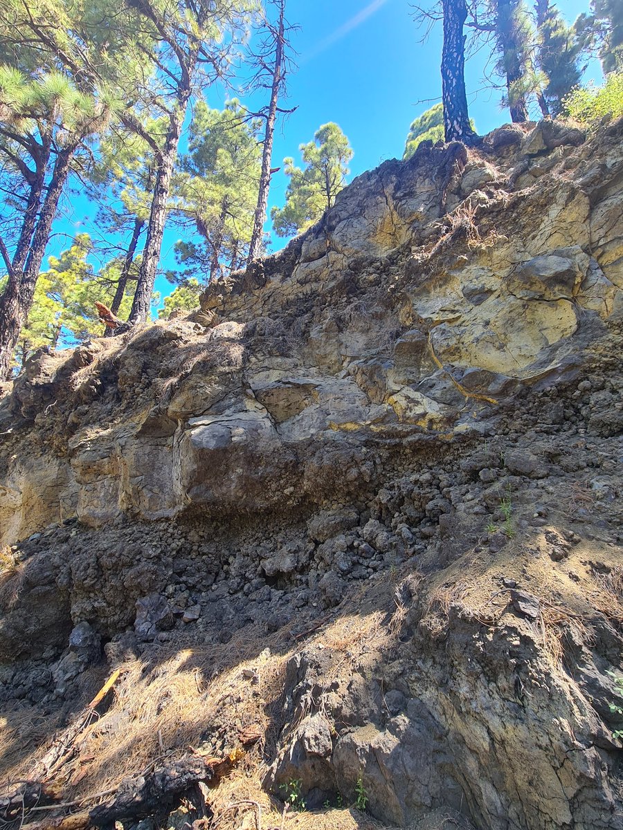 Old, bit still interesting lava formation on #LaPalma