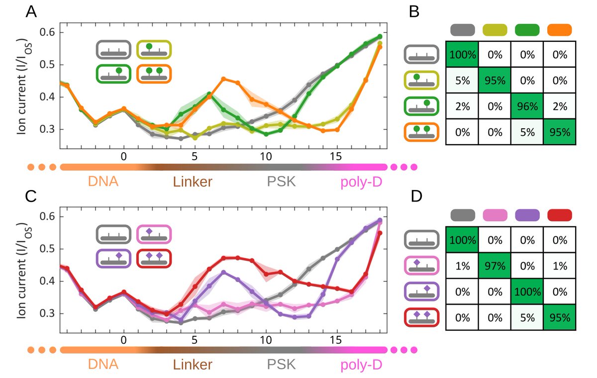 (3/3) More strikingly, the positioning of the modification on the two close-by tyrosine residues (1st aa or 3rd aa) can be clearly identified. We observed two regions of interest where different molecular interactions might be involved. Check out the bioRxiv link for more!
