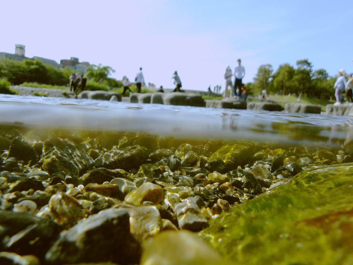 ZZZ_zkym's tweet image. 京都、めっちゃ綺麗だった。

#kodakpixpro
#デジカメ