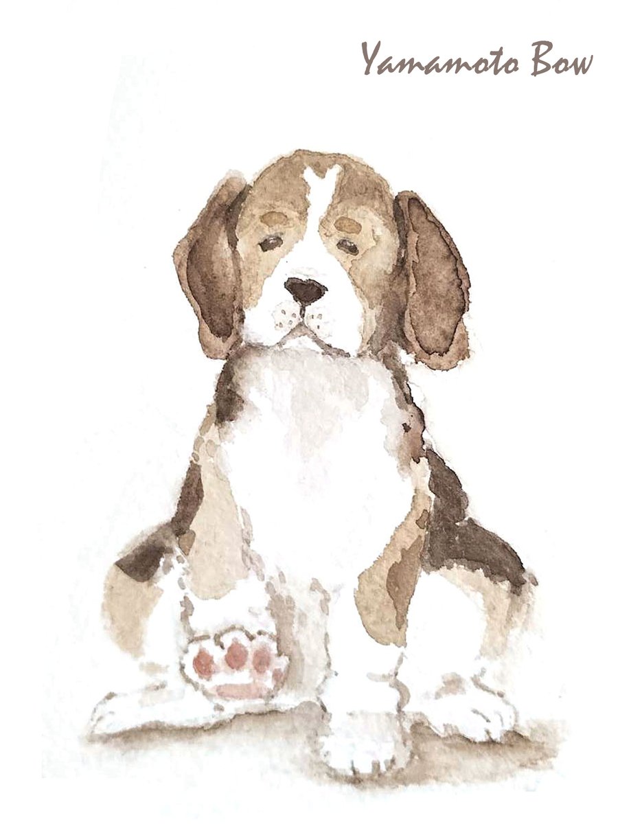 お手？ちがうの？？🐾／ビーグル

#水彩画 #販売予定
#犬のいる幸せ #犬好きさんと繋がりたい 
#絵描きさんと繋がりたい