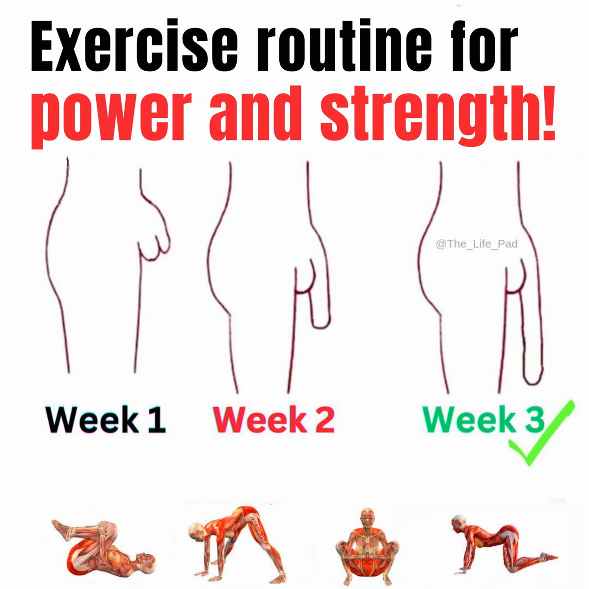 Exercise routine for power and strength, & lower abs Make your Dragon bigger and stronger in 3 weeks  🍆

(educational purpose)