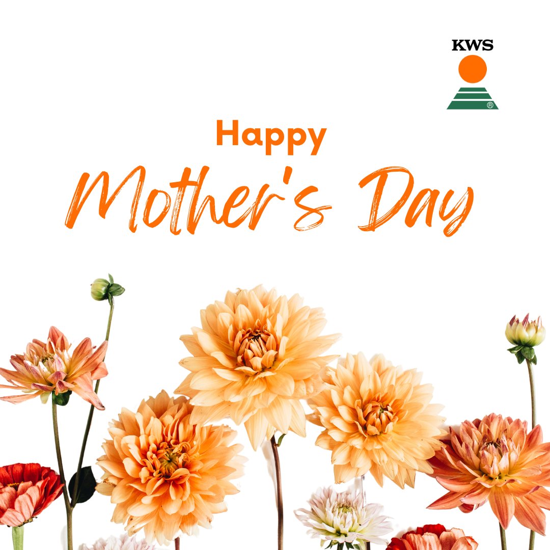 Today is a day to honor the incredible mothers who enrich our world with kindness, compassion, and resilience.
Happy Mother’s Day!🌸🌷
#seedingthefuture #thinkingingenerations