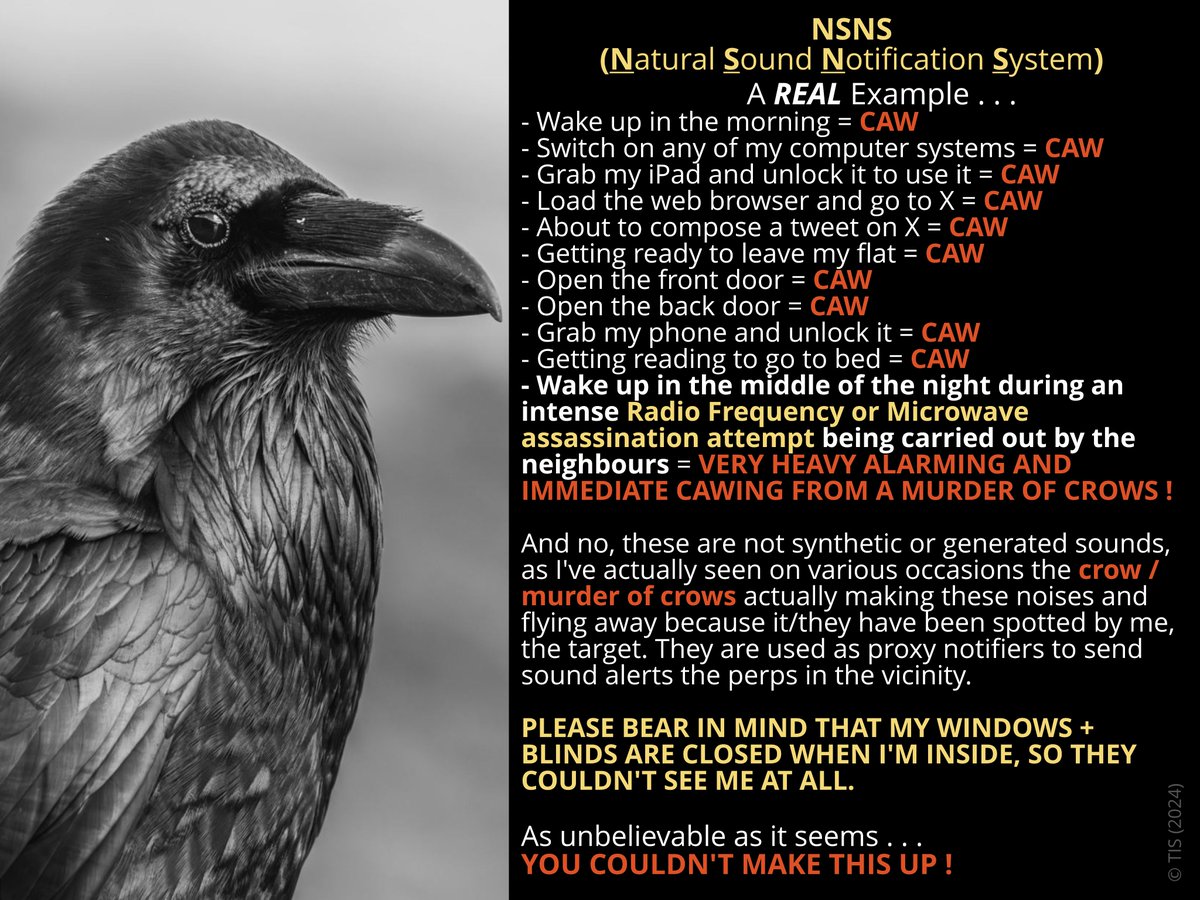 I've studied this very thing for over a year.
NSNS (Natural Sound Notification System).
(A 🐷🚨🚑Just sounded off while about to post this). #TargetedIndividuals #CROW #Raven #Ravens #PERP #uk #YORKSHIRE #bird #TargetedIndividual #spying #stalker #stalking #gangstalking #Sound