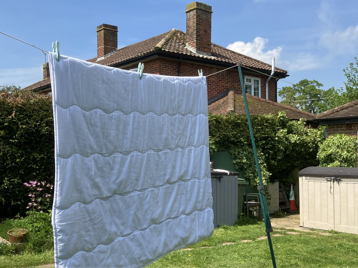 Risk-taking on a Sunday. Washed our only mattress topper & hung it out in the direct flight path of the starling & sparrow eaves-nesting community, doubled over, so it’ll dry slower (but might be out of puppy’s game-reach) ahead of forecast thunderstorms! Go me! #LifeontheEdge