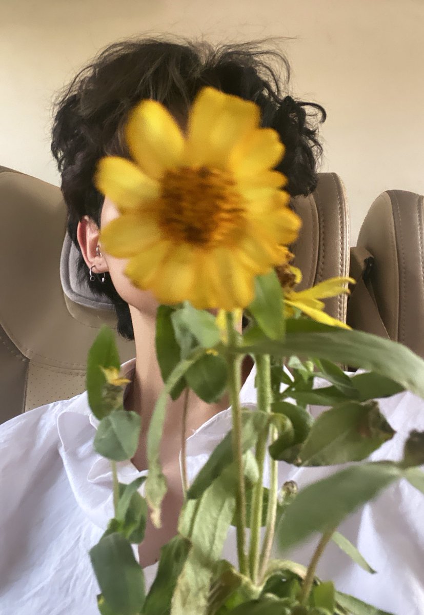 Sunflower in Sunday