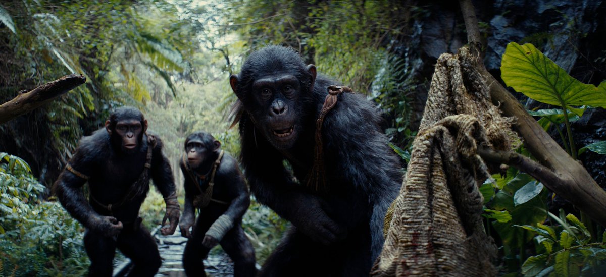 Grab a copy of today’s #TheMailonSunday to discover what @bondonfilm thinks of #KingdomOfThePlanetOfTheApes