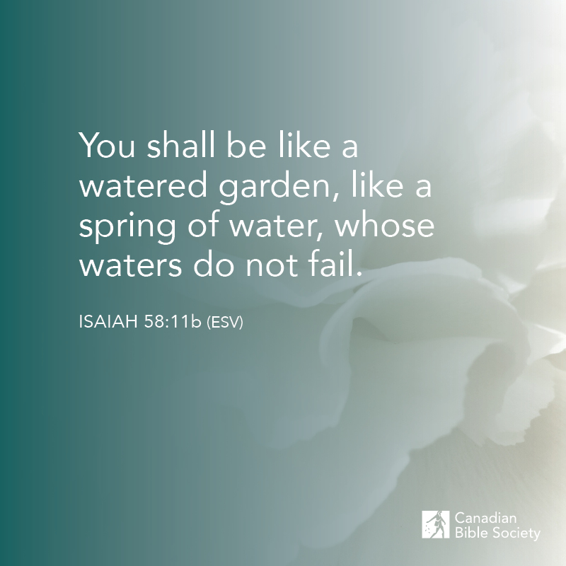 You shall be like a watered garden, like a spring of water, whose waters do not fail.” ISAIAH 58:11b (ESV) #bibleversedaily #bibleverses #bibleverseoftheday #versesfromthebible #biblestudy_verses #bibledailyverse #dailybiblereading #mydailybibleverse