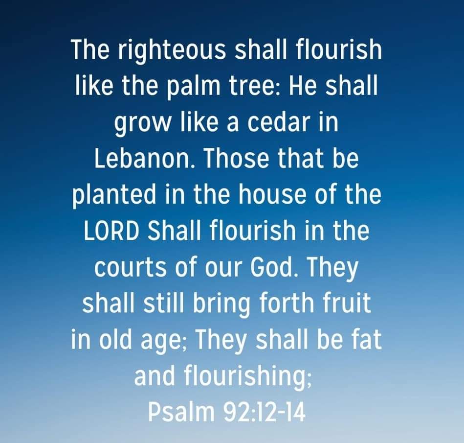 Scriptures our father His Grace Bishop DC Nkosi perused during his sermon.
Topic: "You will not be barren"
 #SundayService
#PLWC23 
#SeeIamDoingANewThing