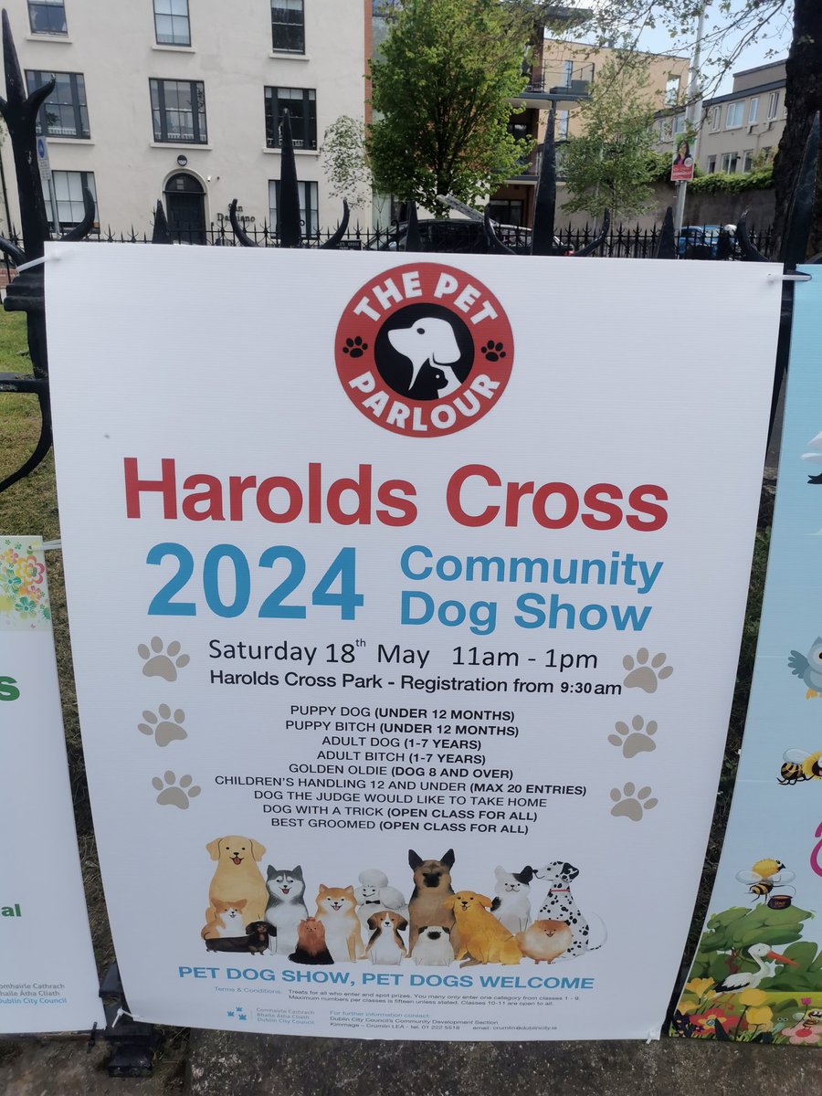 The biggest show in town on Saturday 🐶🐕🐩