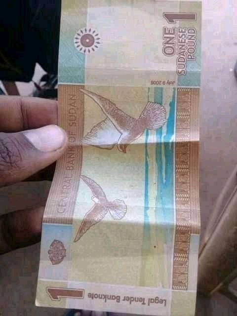 Akasha_omer7's tweet image. الناس الحضرت البتاع دا السؤال معروف طبعا..؟