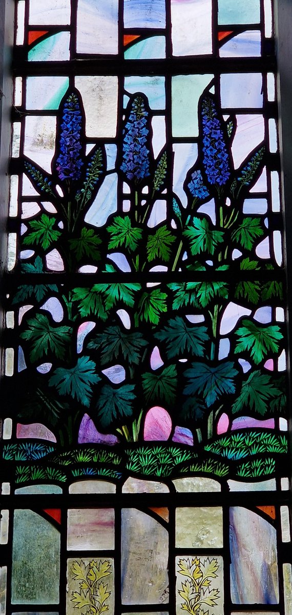 #StainedGlassSunday Here are Veronica Whall's magnificent delphiniums in full bloom from the west window at St. James, Bossington, Hants. Zoom in for her exquisite streaked quarries and the nuanced use of deep, deep blues and purples.