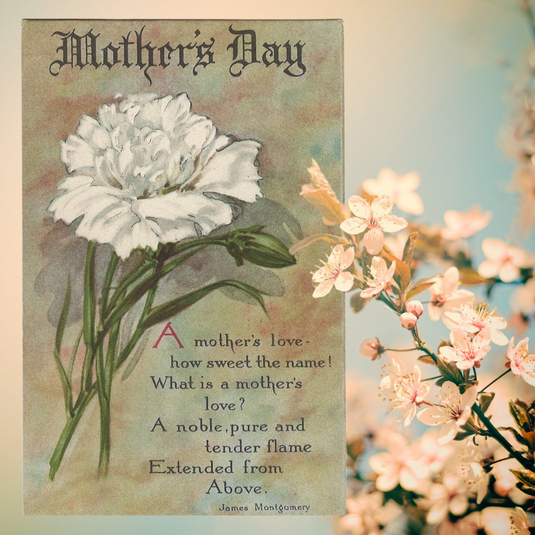 Happy Mother's Day! Did you remember to mail a card to your mother?
Photo courtesy of Art Lizotte

#philately #stampcollecting #postagestamps #postcards  #mothersday #snailmail