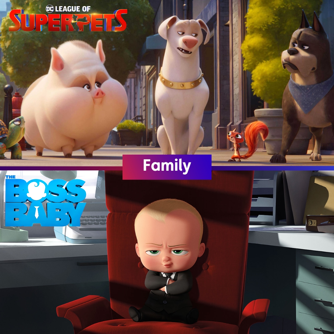 osntvofficial's tweet image. كل جلسة يلزمها فيلم معين🍿شاهد كل هذا وأكثر على #OSNtv

Movie night for everyone? OSNtv got it all!

#movienight #somethingforeveryone