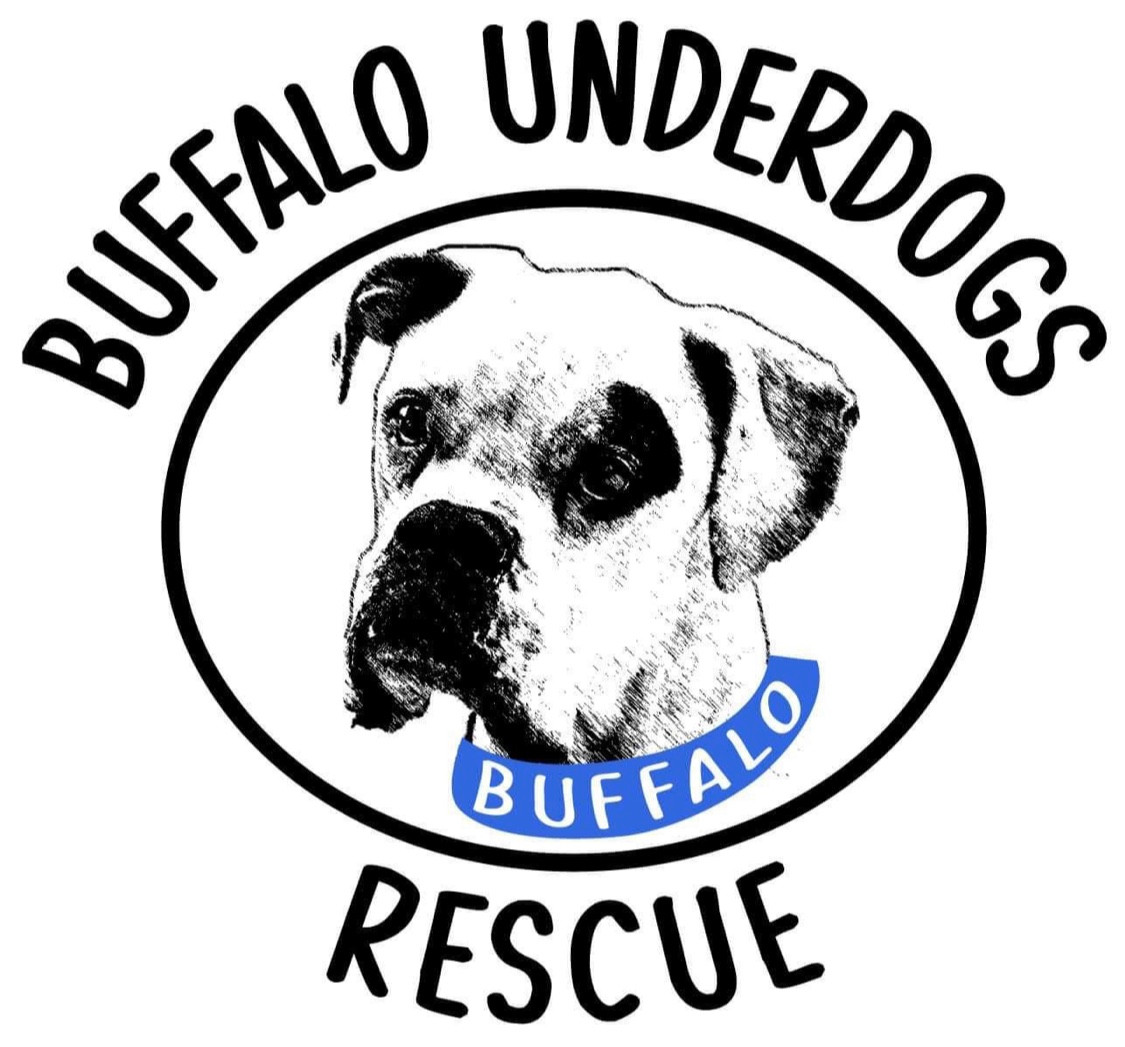 BREDagency's tweet photo. @cfrelund Buffalo Underdogs Rescue. Great organization!! https://t.co/8q2J0iJMAn